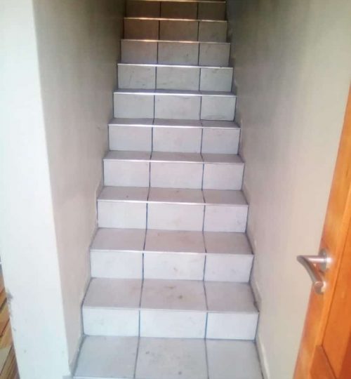 PHOTO-2020-11-27-22-11-38